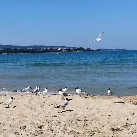 On The Seaside, Burgas